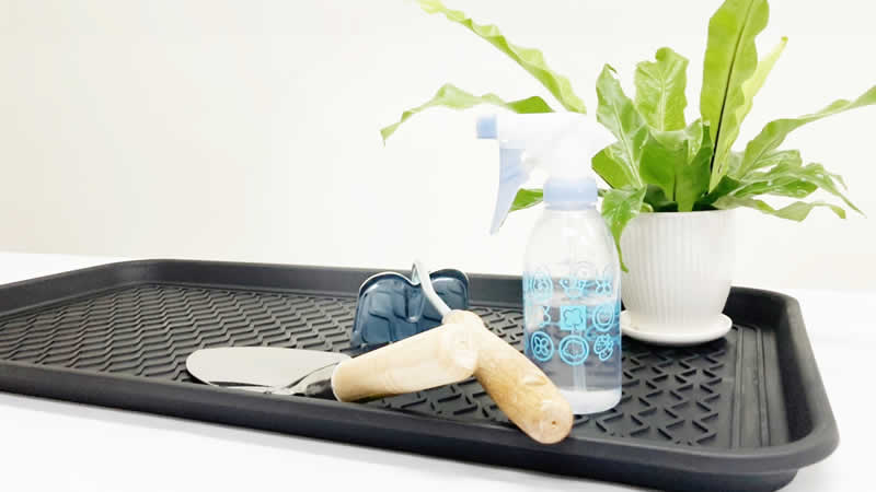Boot Tray